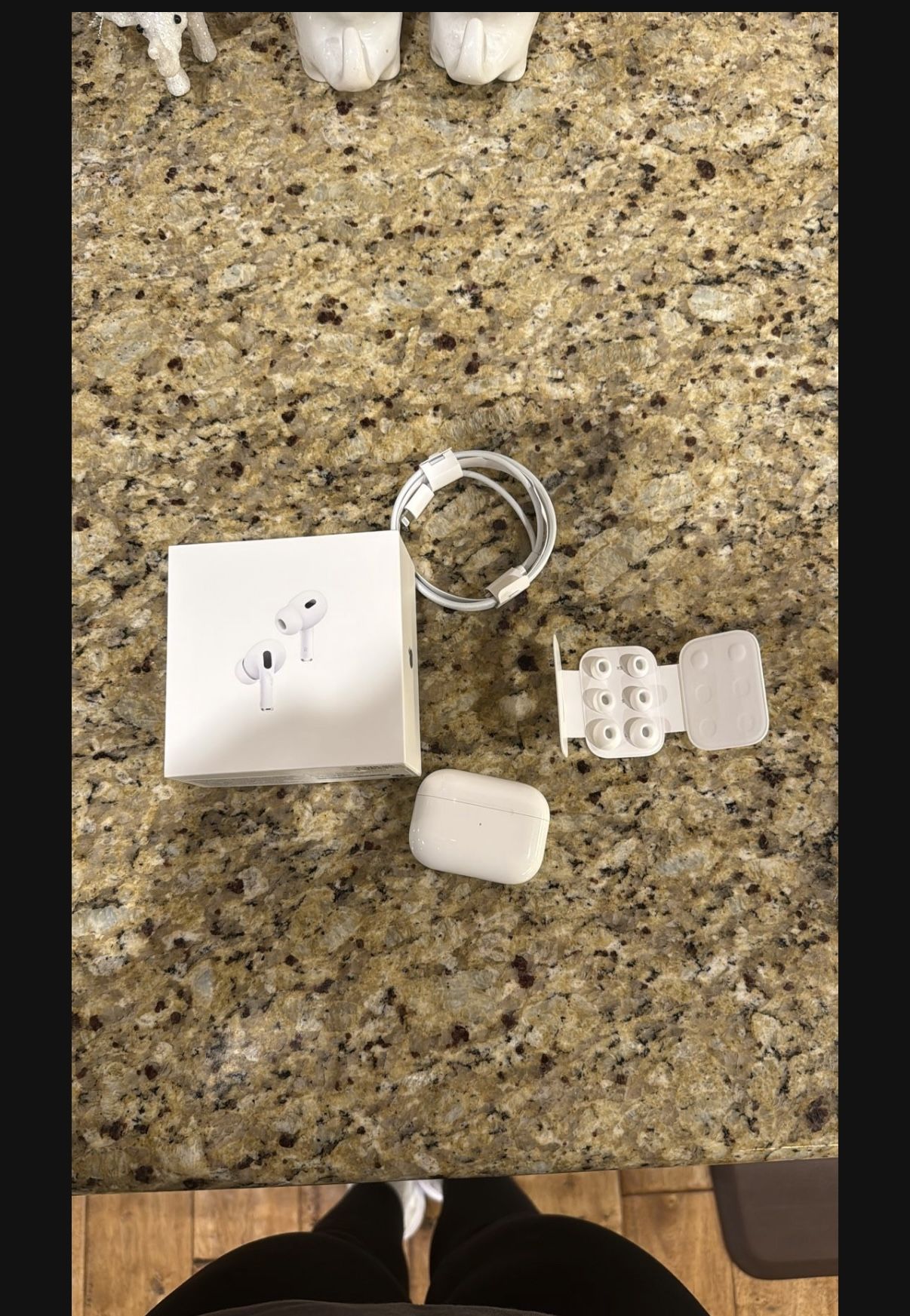 Apple Airpods Pro 2nd Generation With Charging Case