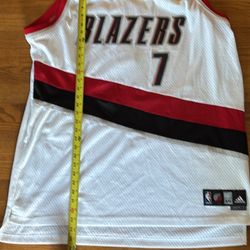 Brandon Roy Authentic Jersey