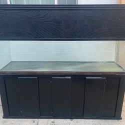 120 Gallon Aquarium 