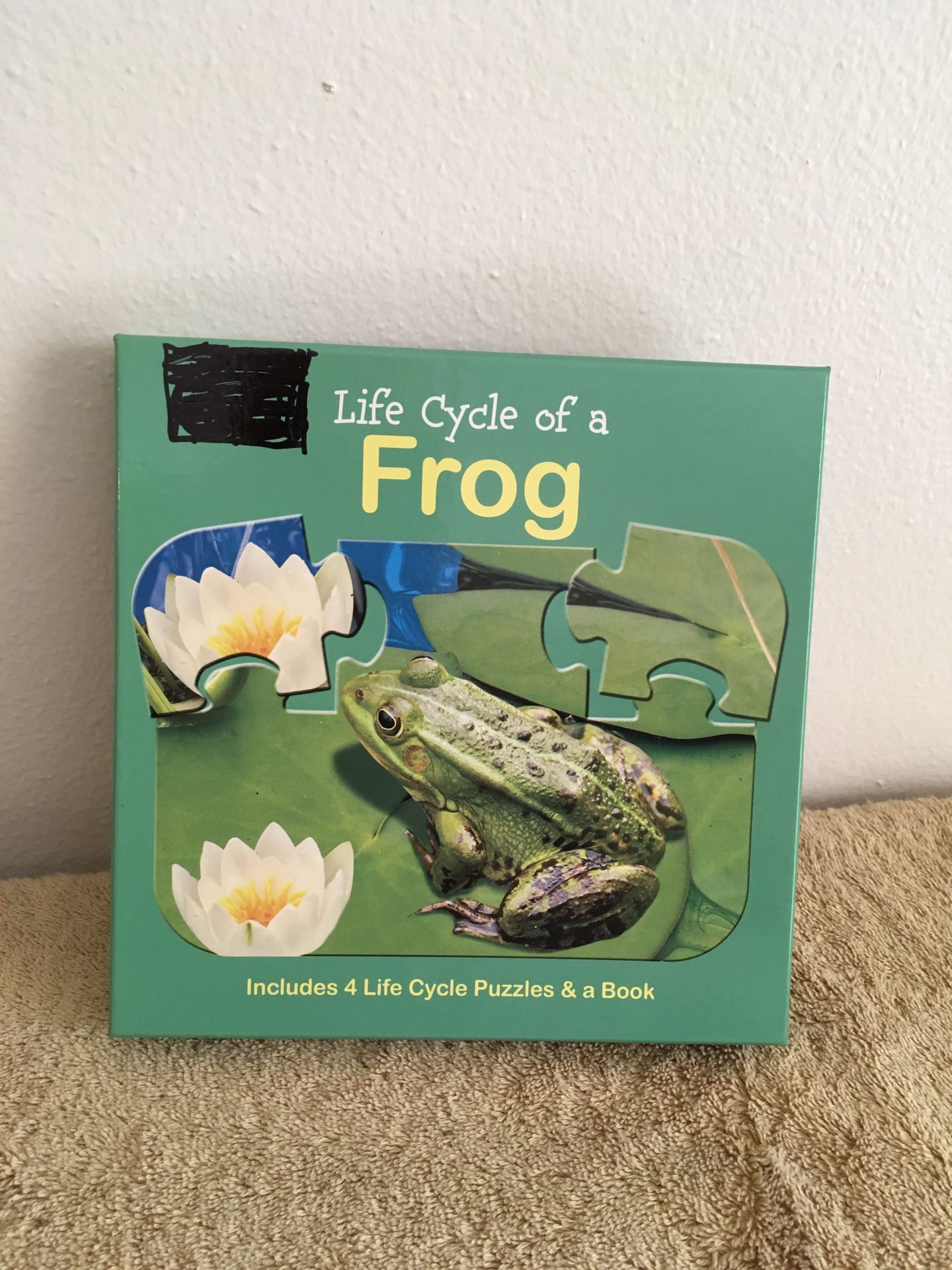 Life Cycle of a Frog Puzzle/Book Set