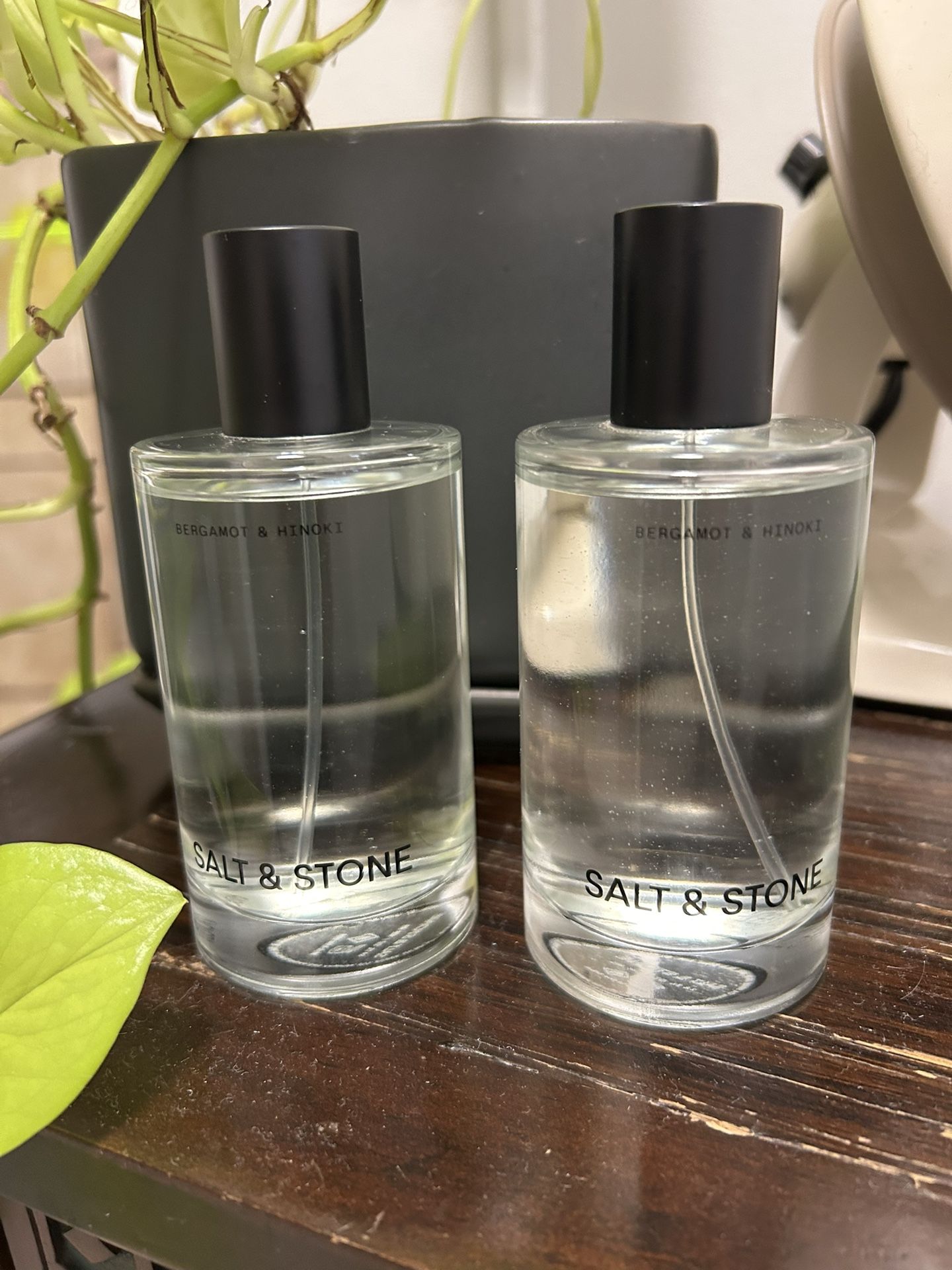 Salt  & Stone Fragrance