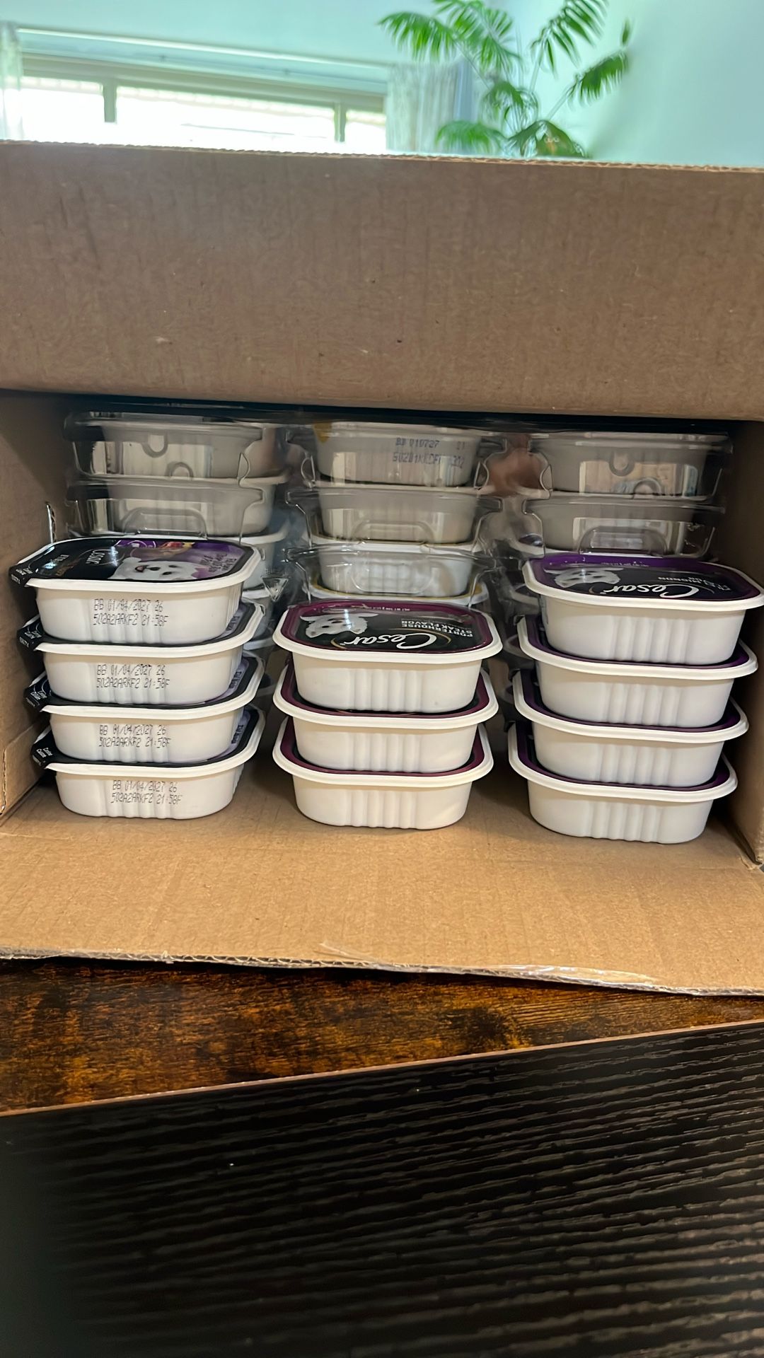 Dog Delicious Food (29)