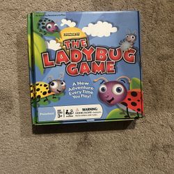 The Ladybug Game