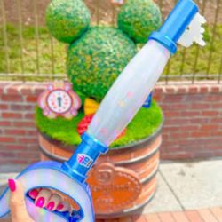 Key To Disneyland 