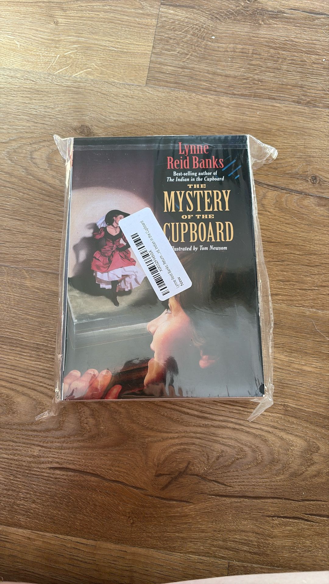 The Indian In The Cupboard Collection Books