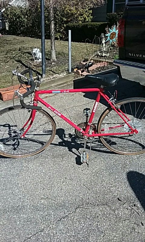 Randor triathlon 10 speed bike sales