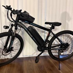 Electric Bike TotGuard 