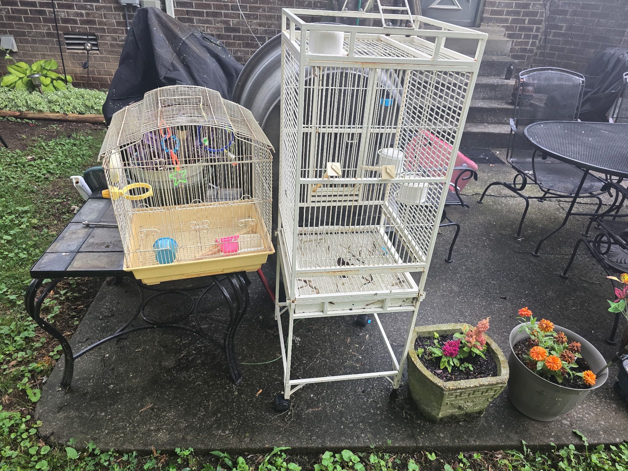 Large Bird Cage