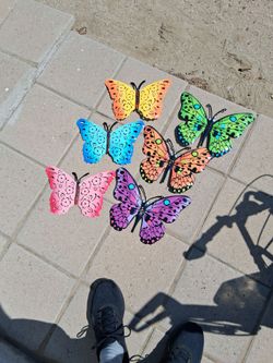 6 Butter Flies