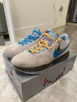 Lebron XX