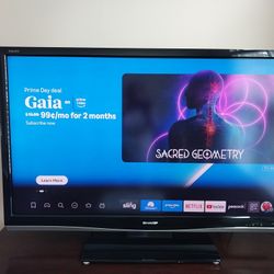 TV