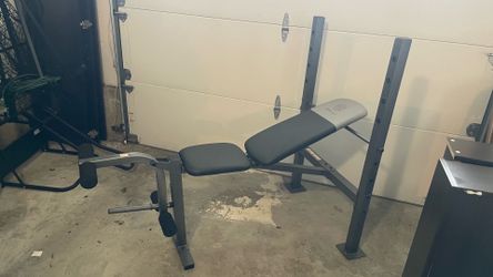 Golds Gym Bench Press