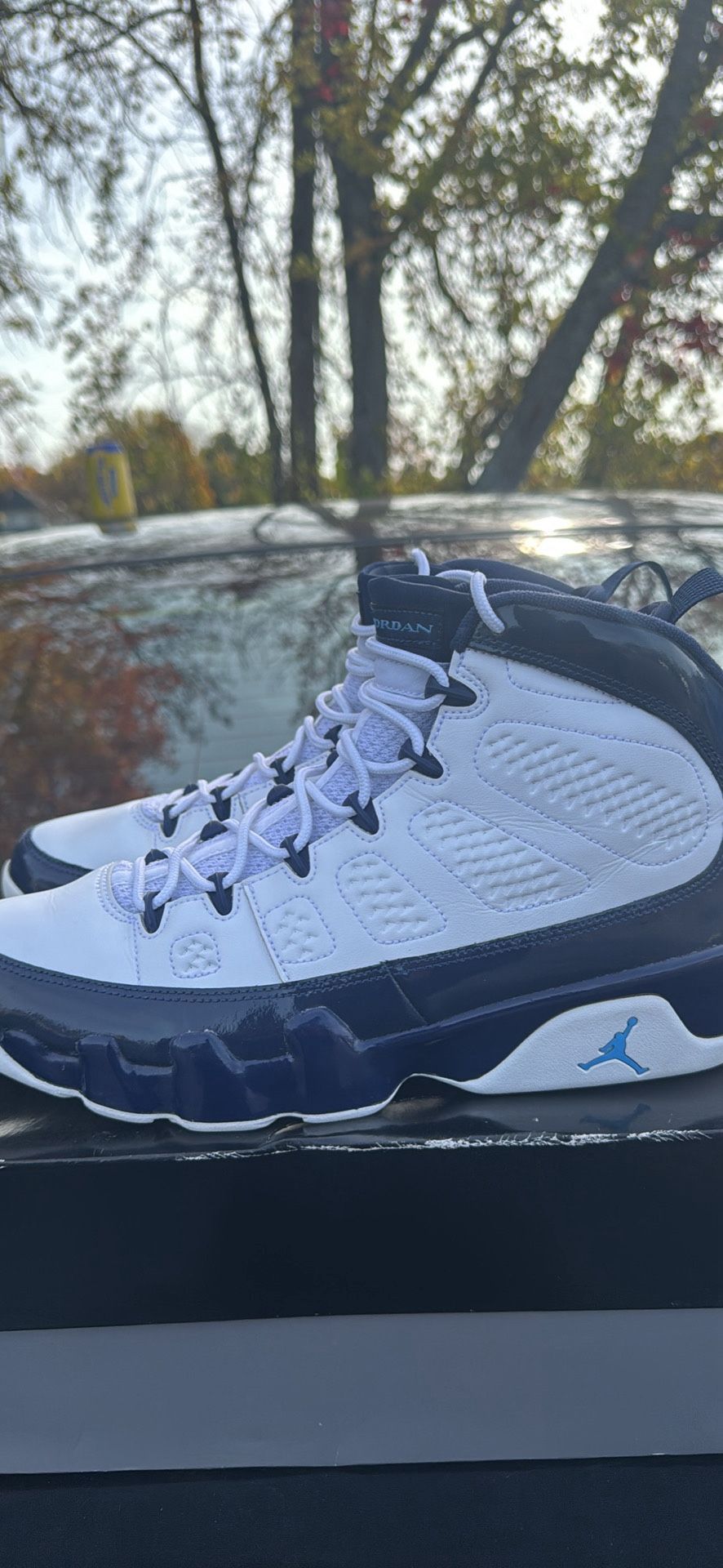 Air Jordan 9s