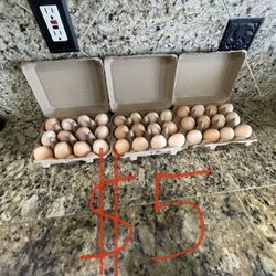 fresh eggs
