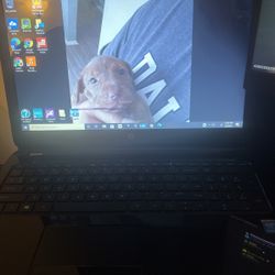 HP