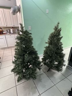 2 trees, no lights, 53 in height