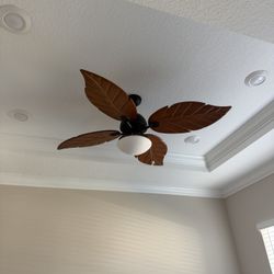 Ceiling Fan