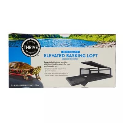 Turtle Tank Basking Spot