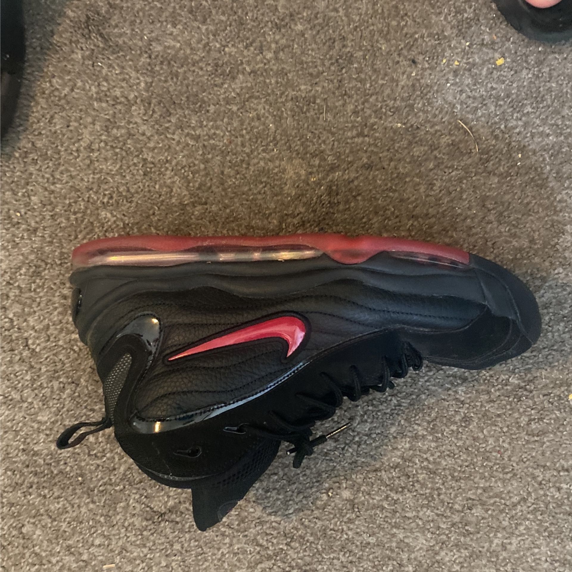 Tempo 12size