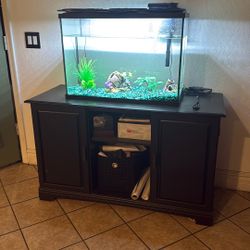 Fish Tank