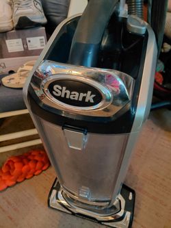 Shark