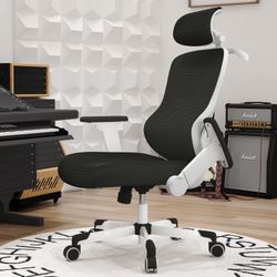 Black Ergonomic Office Chair 