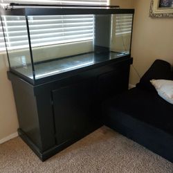 75 Gal + Stand