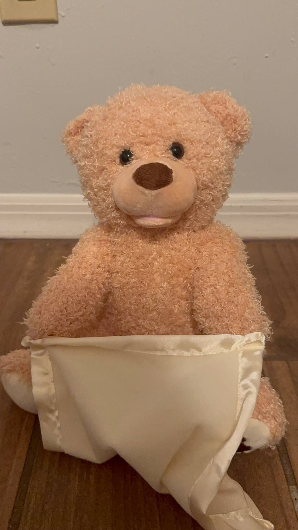Gund Animated Peek-A-Boo Bear