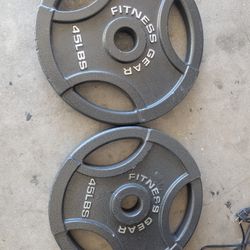 2 - Fitness Gear Olympic Cast Plates