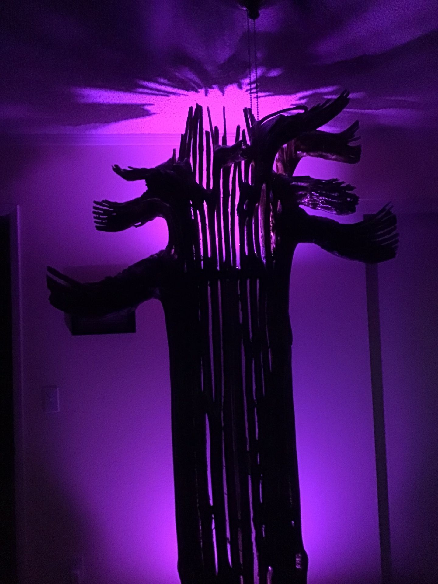 Real Skeleton Cactus Floor Lamp! Custom!