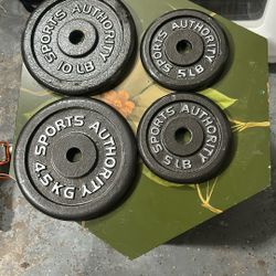 Sports Authority Weight Plates-Pair Of 10 And 5 Pound Plates