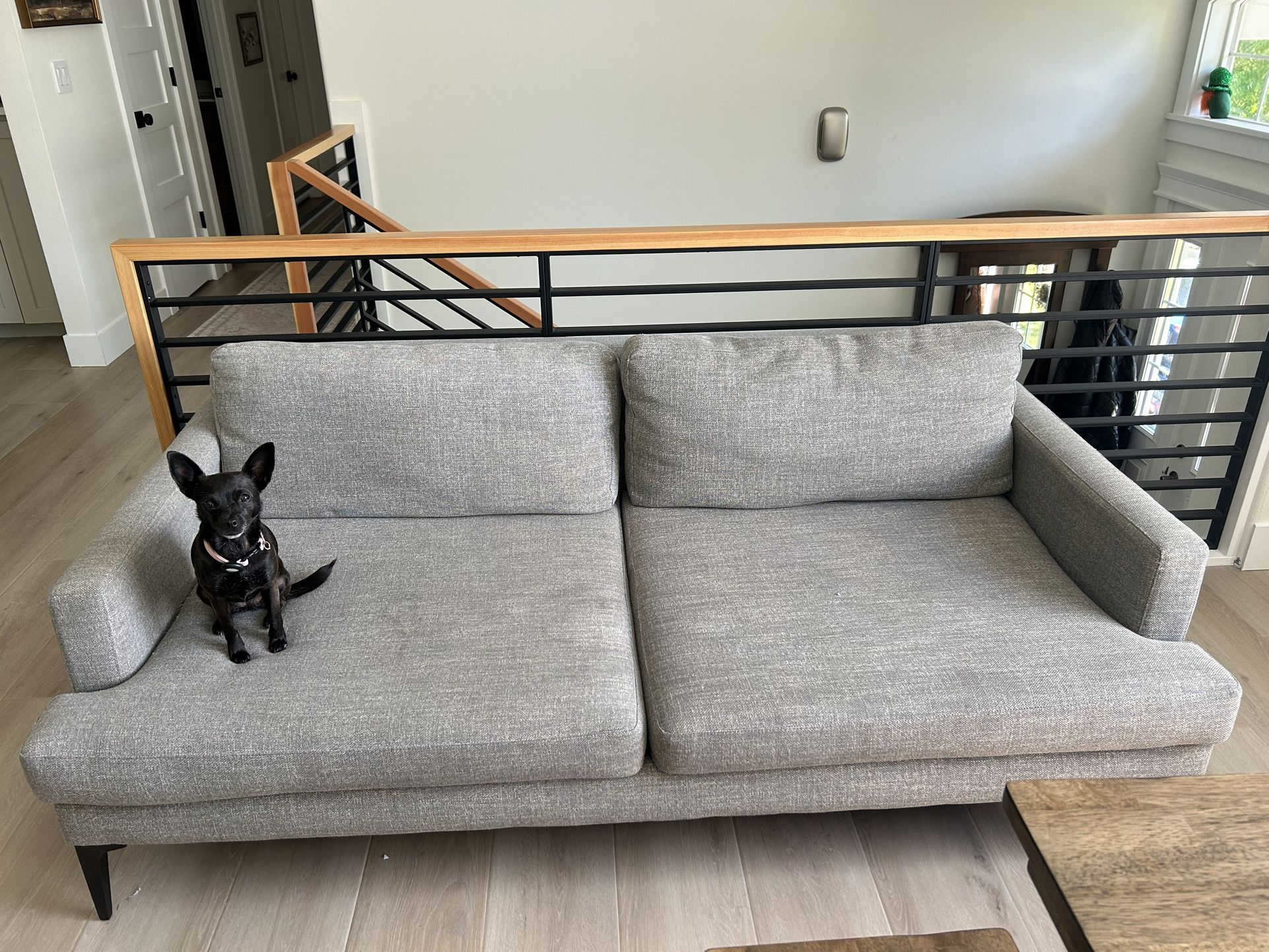 West Elm Andes Couch