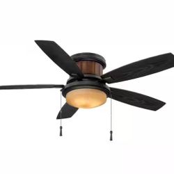 Hampton Bay Roanoke 48 in. Indoor/Outdoor Ceiling Fan