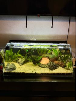 Fish tank
