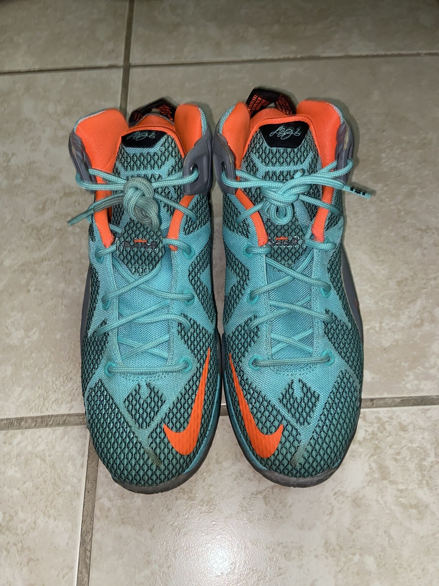 Nike LeBron 12 NSRL Shoes Size 7Y