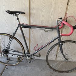 Trek Cirrus Road Bike 