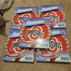 The Flimzee Flying Bean Bag Flying Disc