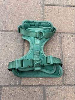 Wild One Cushioned Dog Harness + Leash Set (Small) – Green