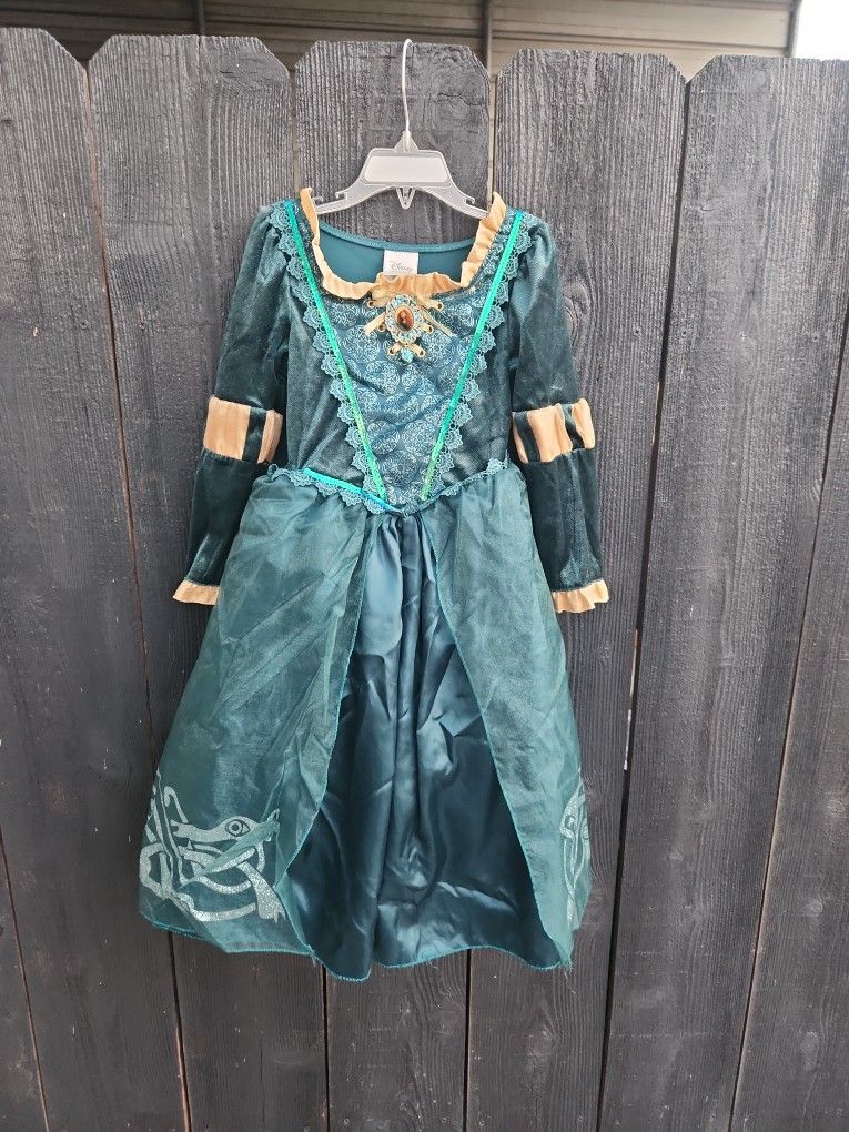 Princess Merida Costume 