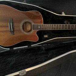 Zager Acoustic/electric Brand New 