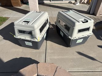 IATA Approved Dog Kennels