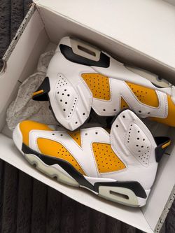 9.5 Jordan retro 6