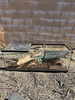 Used Large Terrarium - as is