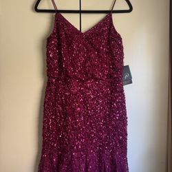 (retail $179)Gorgeous Raspberry Pink Party Dress Size 2