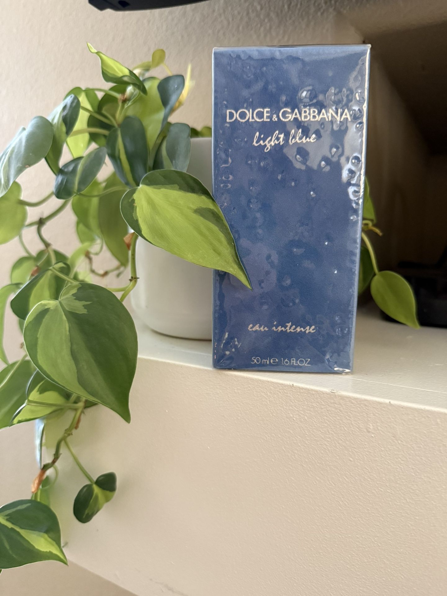 Dolce & Gabbana Light Blue Women