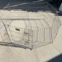 Dog Fence 