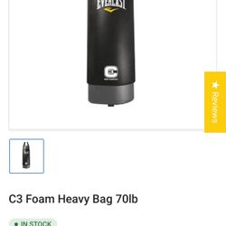 Everlast Punching Bag