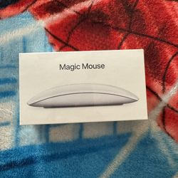 Magic Mouse 