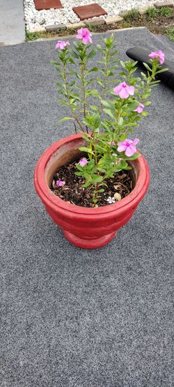 Planter