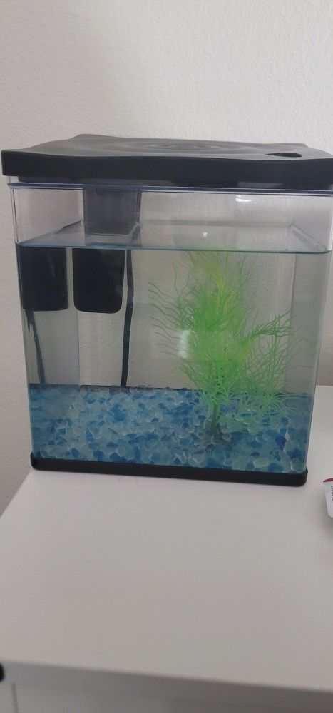 1.5 Gallon Aquarium